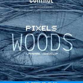 Lansare de videoclip Woods - The Pixels in Club Control
