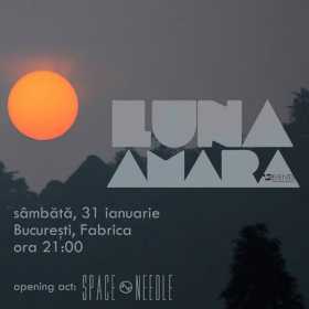 Concert Luna Amara si Space Needle in Club Fabrica