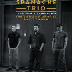 Concert Sebastian Spanache Trio in Club STUDIO