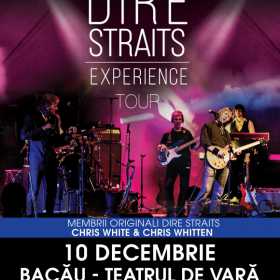 The Dire Straits Experience in concert la Bacau
