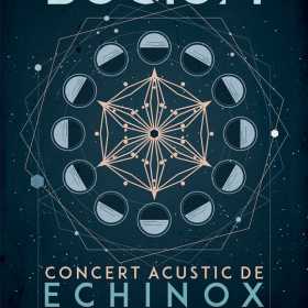 Concert acustic Bucium in club Quantic