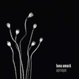 Albumul Luna Amara “Aproape” este acum disponibil in format digital