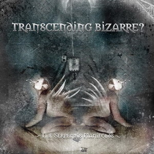 Transcending Bizarre? - The Serent's Manifolds