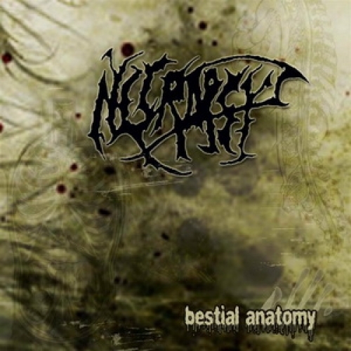 Necropsy - Bestial Anatomy