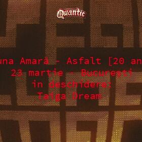 Cronică de concert Luna Amara - Asfalt - 20 de ani, în club Quantic