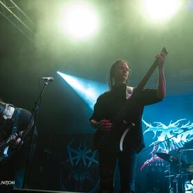 Ingested, Quantic