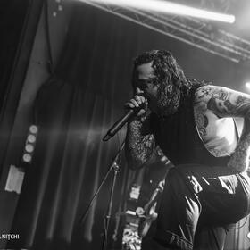 Ingested, Quantic