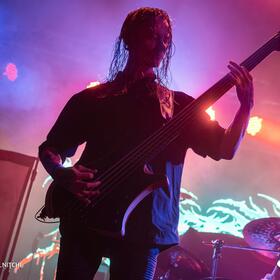Ingested, Quantic