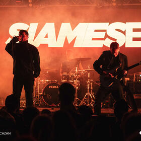 Siamese, Quantic